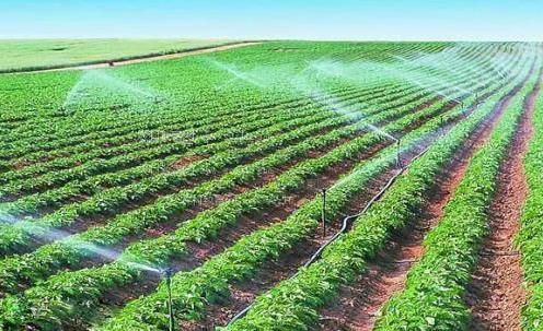喷水X黄色网站农田高 效节水灌溉